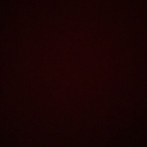 Meet your Posher, Terry